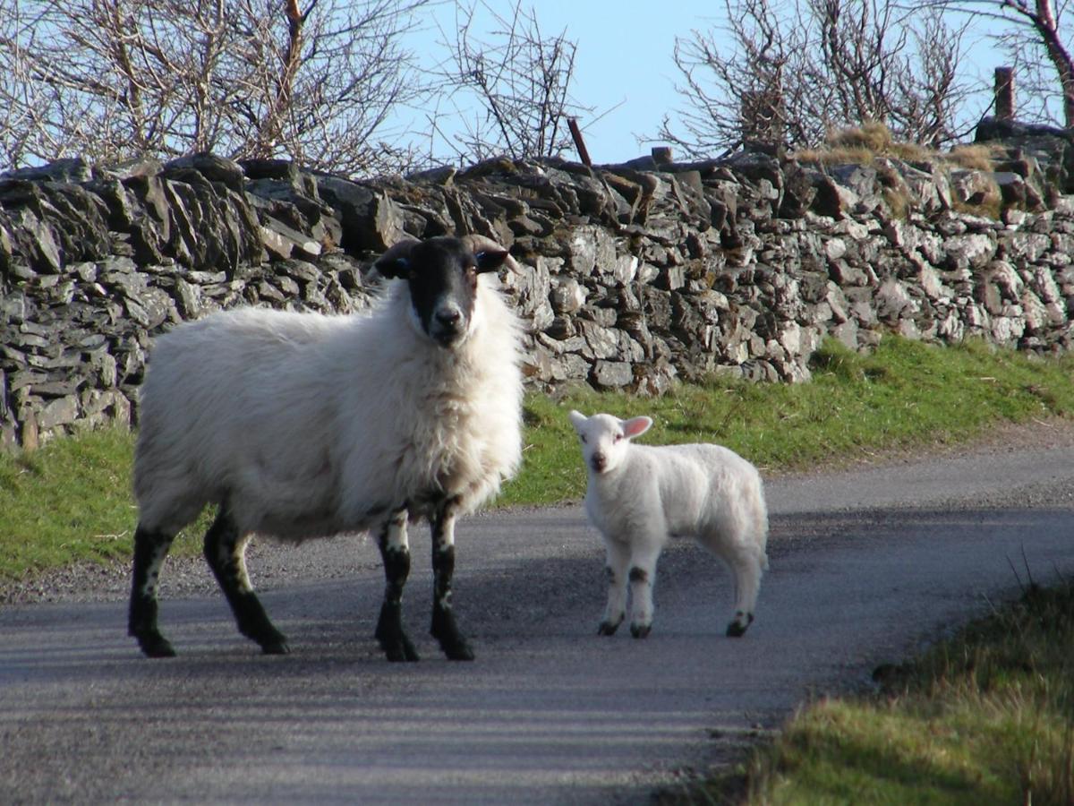 ホテル Sunnybrae, Isle Of Luing Cullipool エクステリア 写真